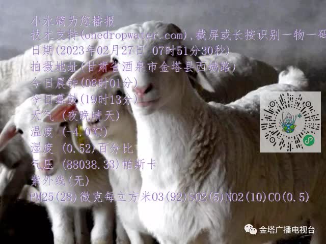 0.mp4