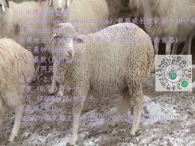 0.mp4