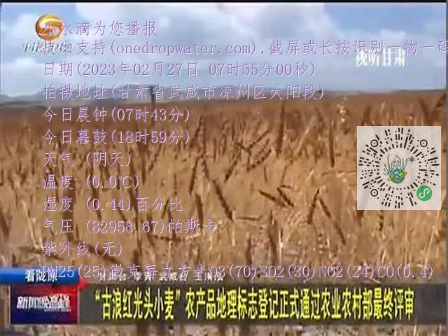 0.mp4