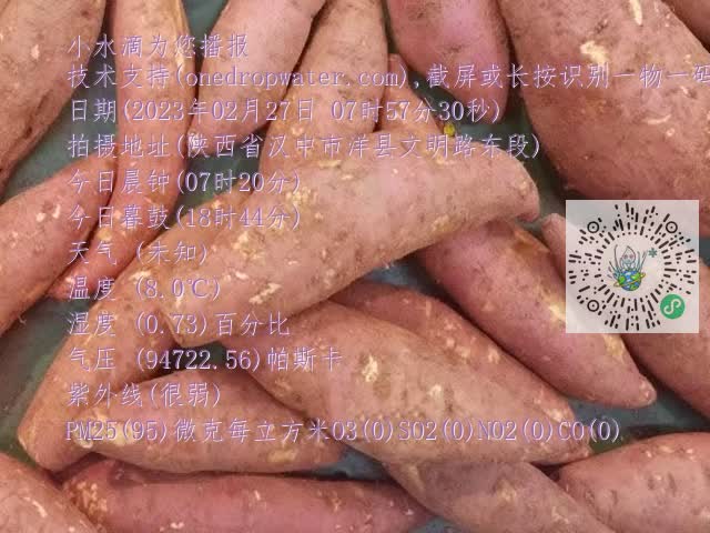 0.mp4