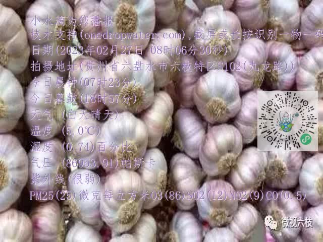 0.mp4