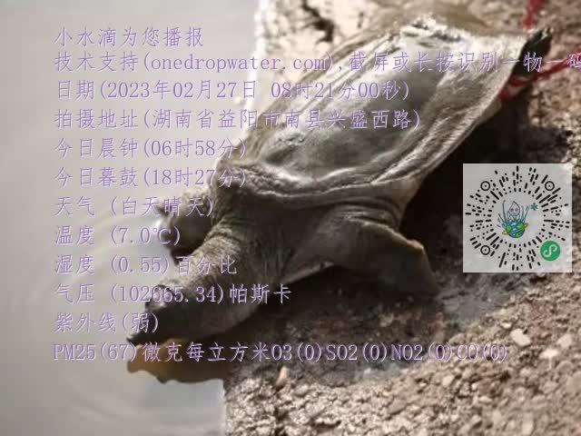 0.mp4
