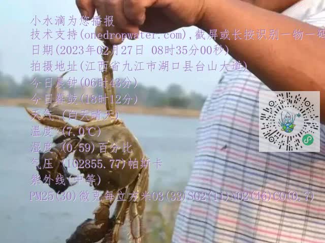 0.mp4