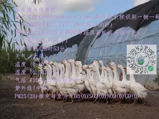 0.mp4