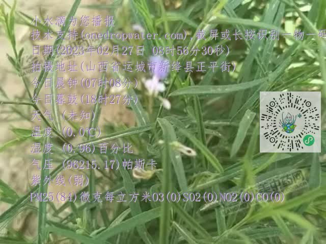 0.mp4