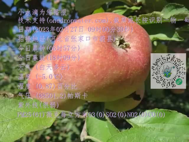 0.mp4