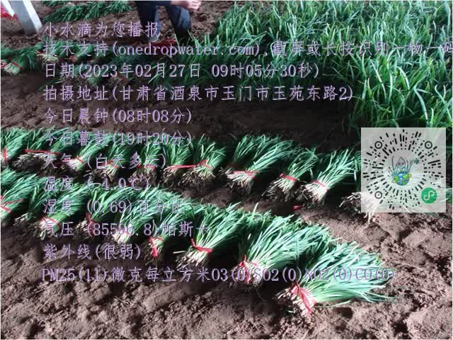 0.mp4