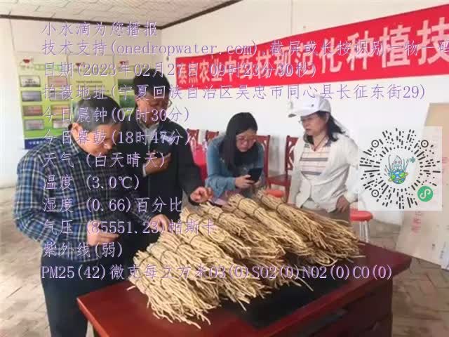 0.mp4
