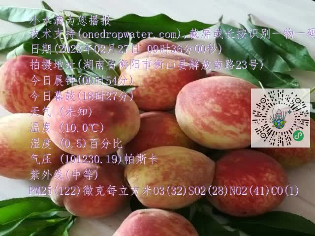 0.mp4