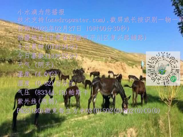 0.mp4