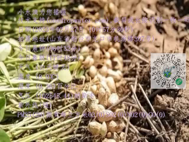0.mp4