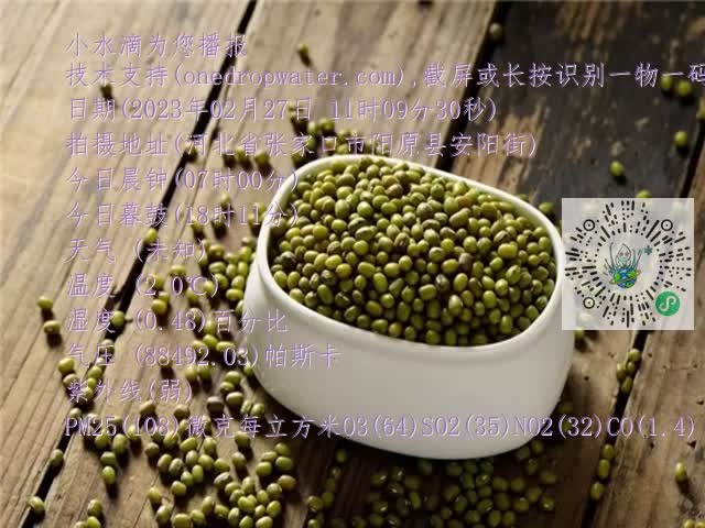 0.mp4
