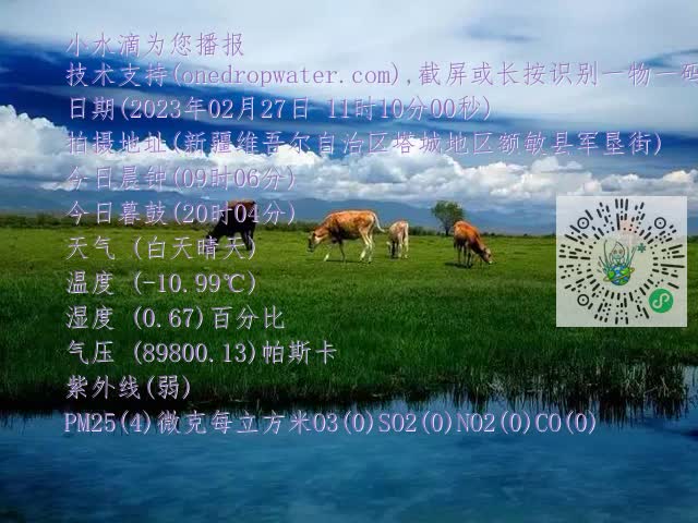 0.mp4