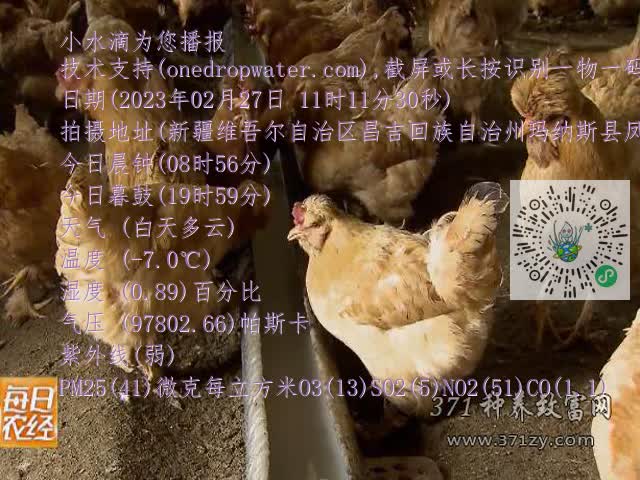 0.mp4