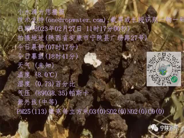 0.mp4