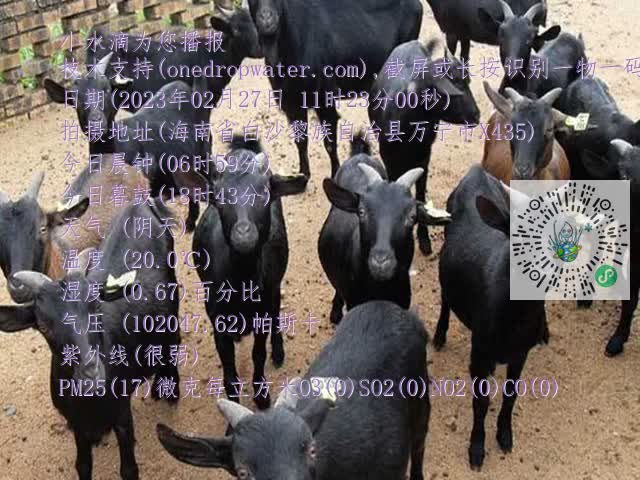 0df6b02a845ca5a6ab241ea637f45922.mp4