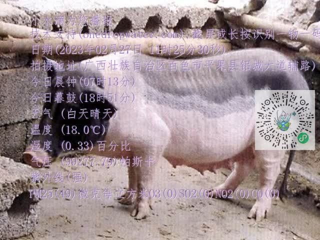 0.mp4