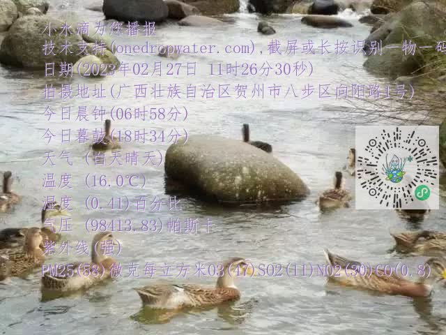 0.mp4