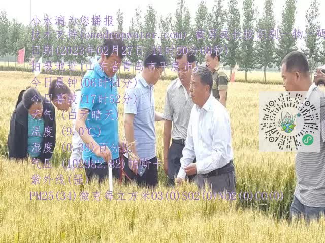 0.mp4