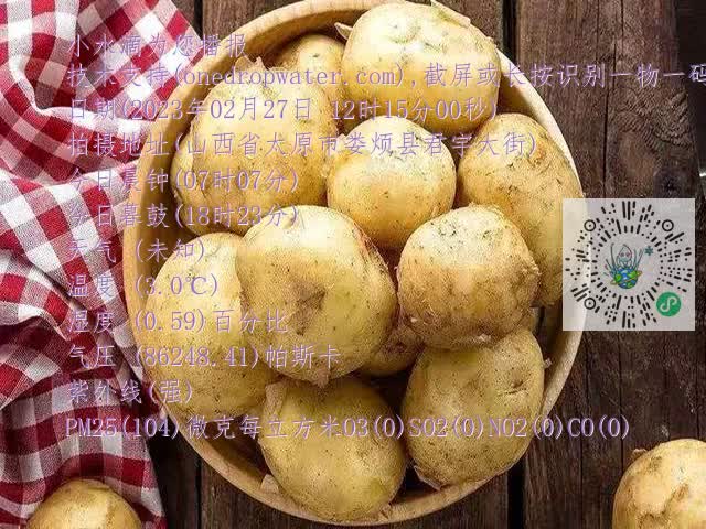 0.mp4