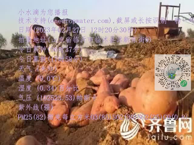 0.mp4