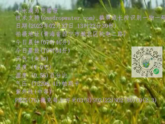 0.mp4