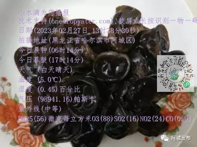 0.mp4