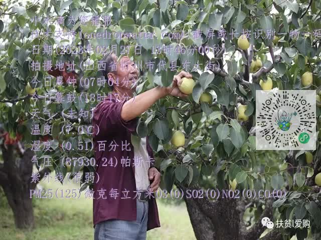 0.mp4