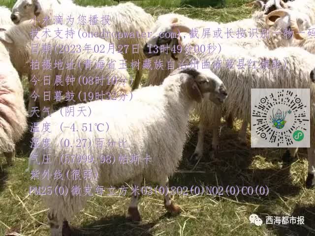 0.mp4