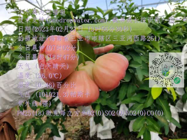 ea70551735311309afd40c2ff90052d2.mp4