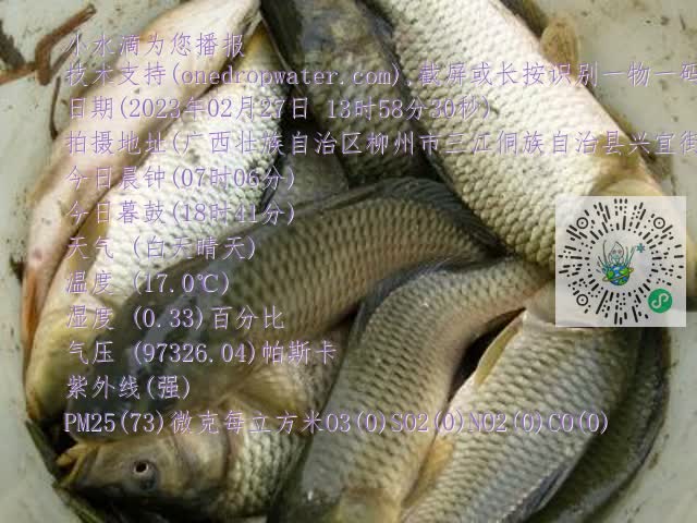 0.mp4