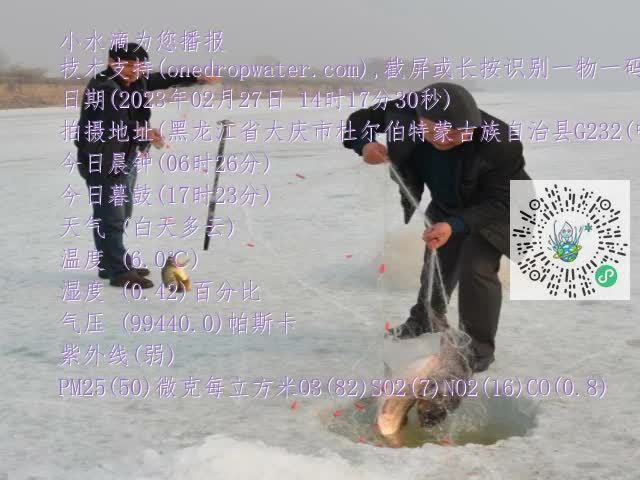 0.mp4