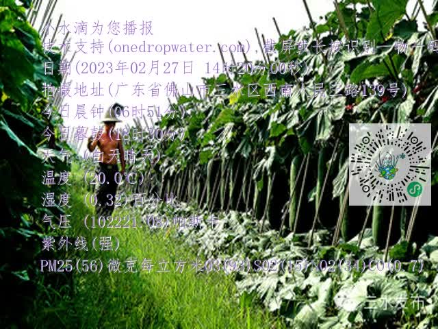 a782fbb78bdb9ce3f2c604fc34f57870.mp4