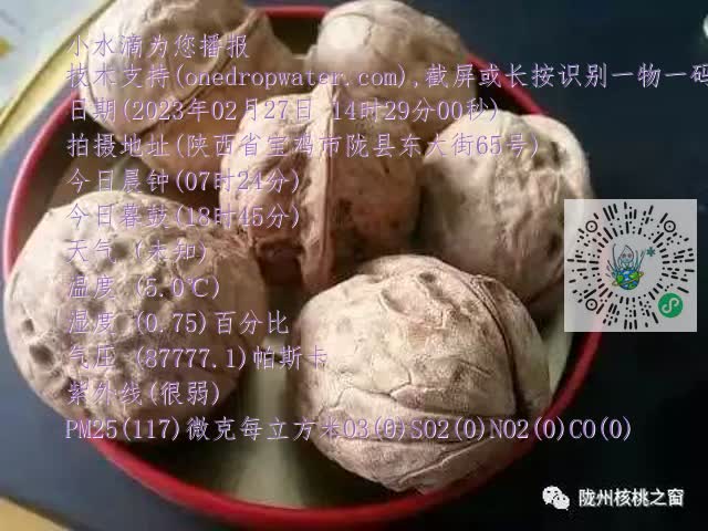 0.mp4