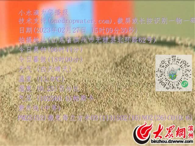 0.mp4
