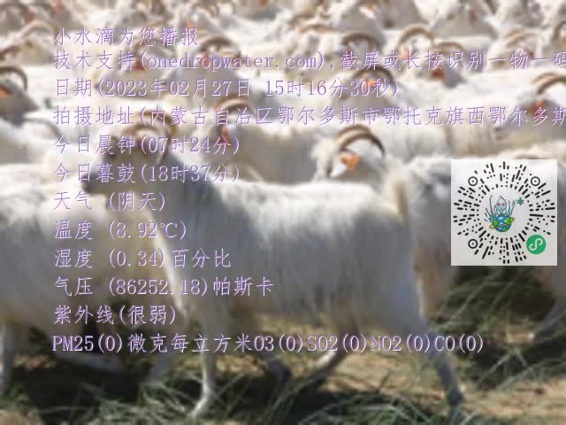 0.mp4