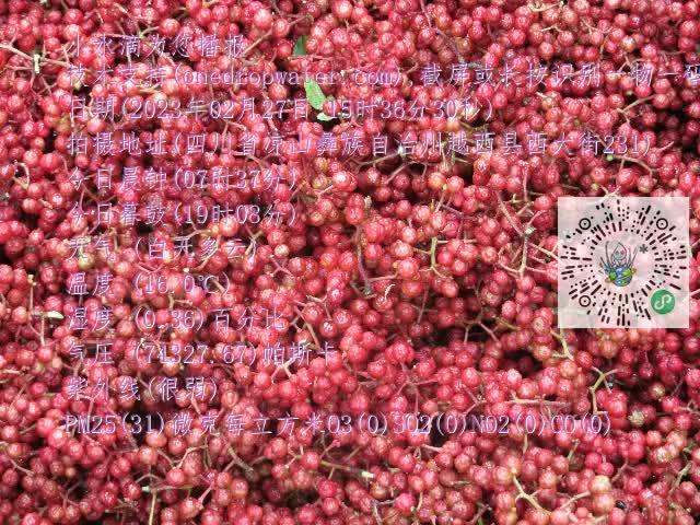 0.mp4