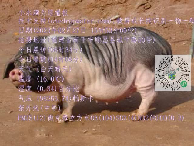 0.mp4