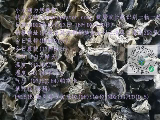 0.mp4