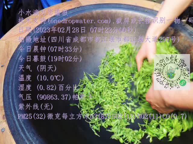 0.mp4