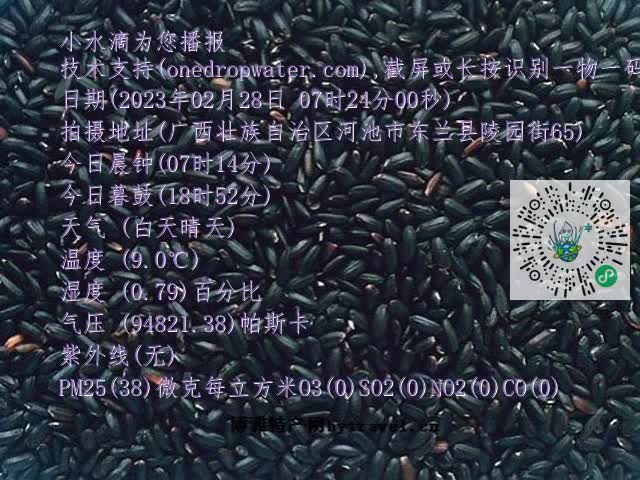 0.mp4