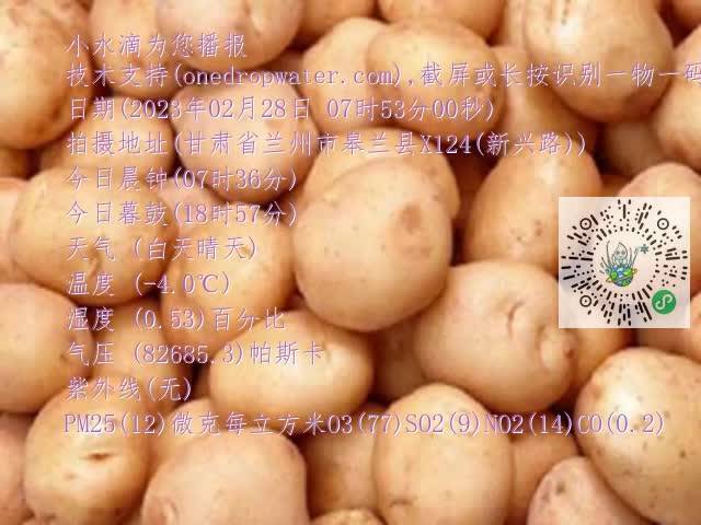 0.mp4