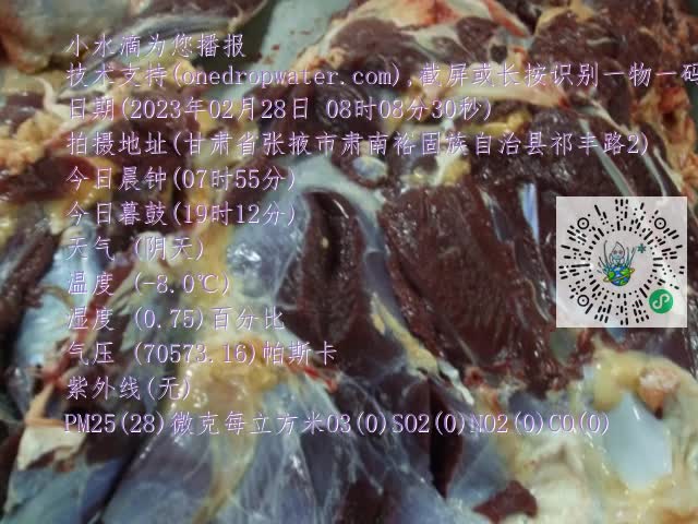 0.mp4