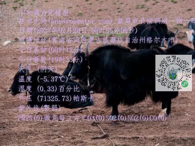 0.mp4