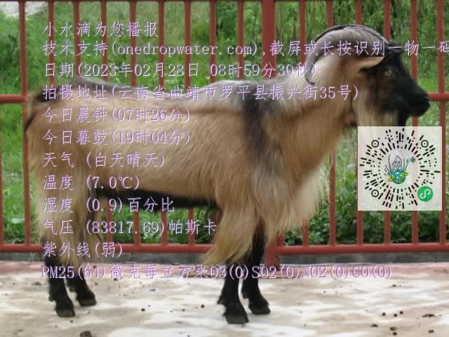 0.mp4