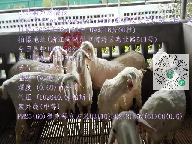 0.mp4
