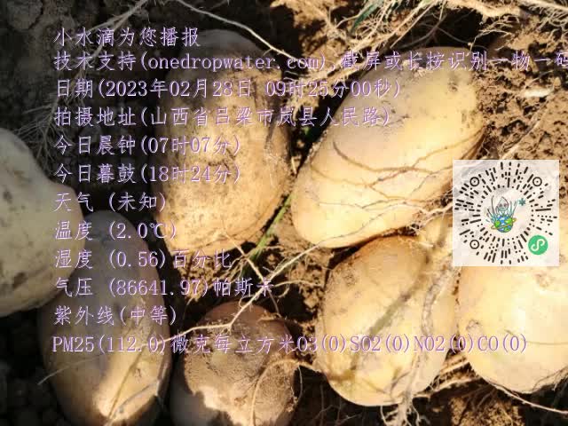 0.mp4