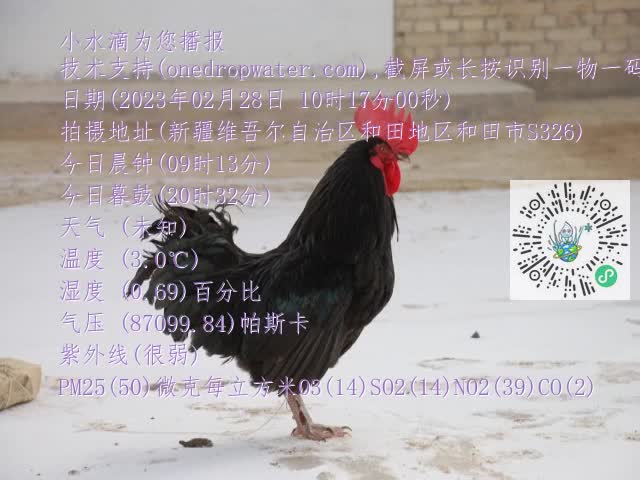 0.mp4