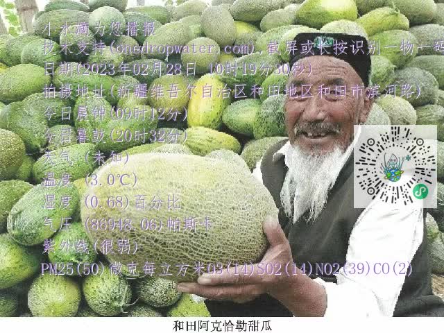 0.mp4