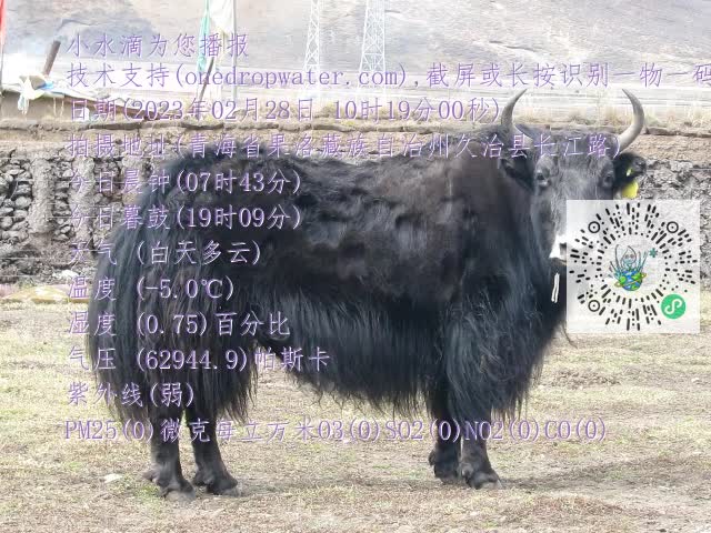 0.mp4